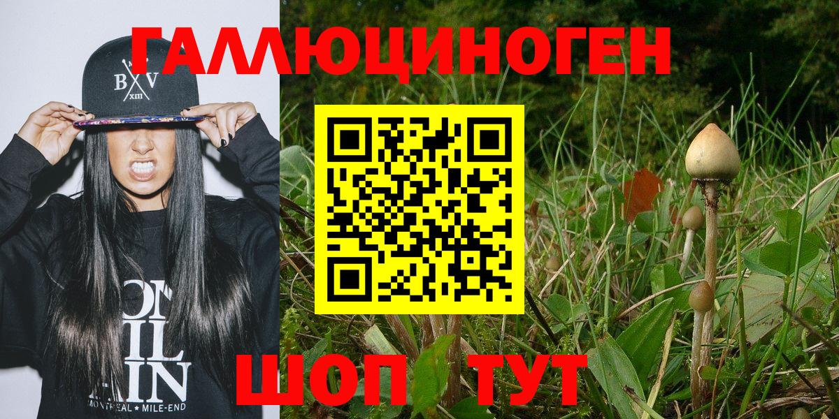 Псилоцибиновые грибы Psilocybine cubensis  Вход с VPN  Краснознаменск 